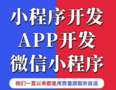 app开发，app原生研发，app推广